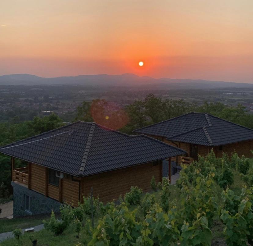 Boja Zalaska - Kameni Apartman Jagodina Exterior foto
